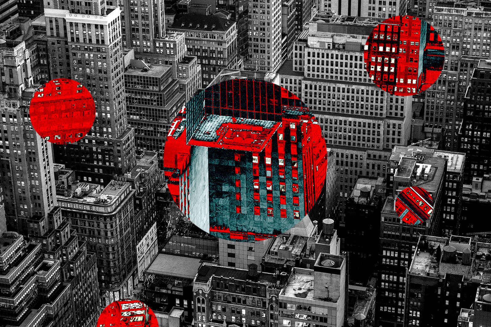 ‘Startup Nation’ Groups Say They’re Meeting Trump Officials to Push for Deregulated ‘Freedom Cities’
