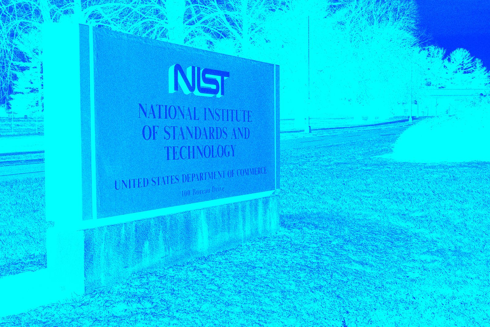 The National Institute of Standards and Technology Braces for Mass Firings