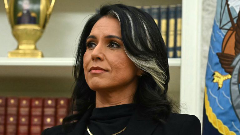 Tulsi Gabbard Adult Person Head Black Hair Hair Face Flag Accessories Jewelry and Necklace