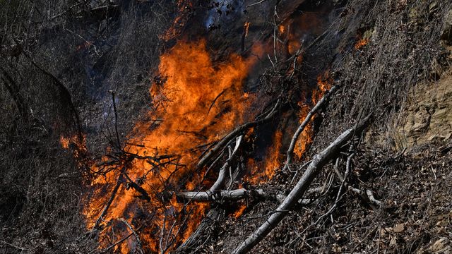 The Extreme Weather Conditions That Drove the Carolina Wildfires